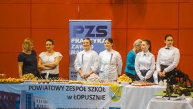 Powiatowy Zespół Szkół w Łopusznie